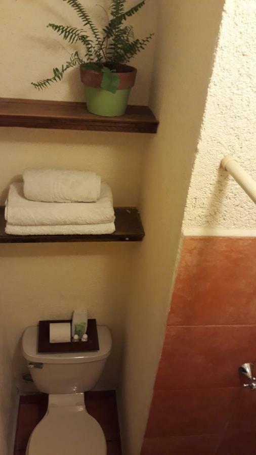 Casa Limonchelo Hotel B&B モレリア エクステリア 写真